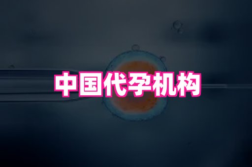 长春助孕网 1