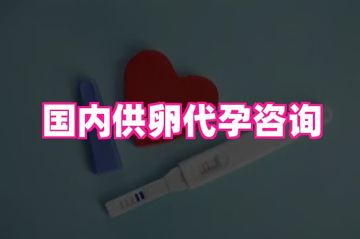 长春助孕网 2